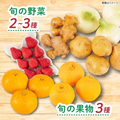 全4回定期便】糸島産 魚 米 野菜 果物 厳選合わせ Lサイズ