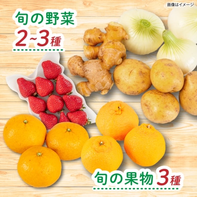 【全4回定期便令和7年産新米】糸島産 魚 米 野菜 果物 厳選合わせ Lサイズ　[AOP006]