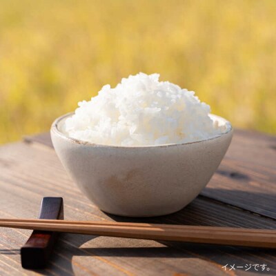 【全3回定期便】とくべつの中のとくべつ糸島特別栽培米5kg夢つくし(株)やました[ARJ027]
