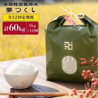 【全12回定期便】とくべつの中のとくべつ糸島特別栽培米5kg夢つくし(株)やました[ARJ028]