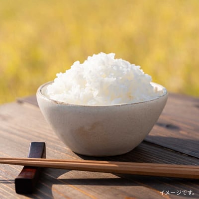 【全3回定期便】糸島で育てた山つき糸島米3kg(夢つくし)(株)やました[ARJ031]