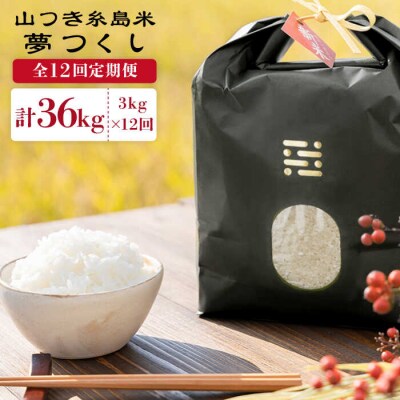 【全12回定期便】糸島で育てた山つき糸島米3kg(夢つくし)(株)やました[ARJ032]