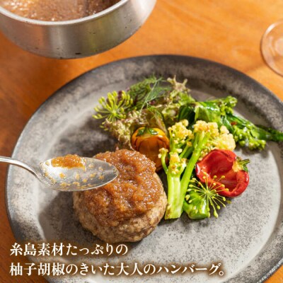 フレンチの名店とコラボした糸島ハンバーグとカレーのセット(株)やました [ARJ041]