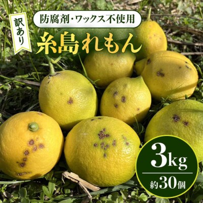 【防腐剤・ワックス不使用 訳あり】糸島れもんB3kg(30個前後)株式会社糸島れもん[AYL002]