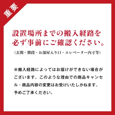 【Ritzwell】RIVAGE ARMCHAIRレザー [AYG034]