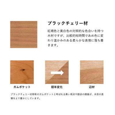 【Ritzwell】【ブラックチェリー】BLAVA EASY CHAIR[AYG044]