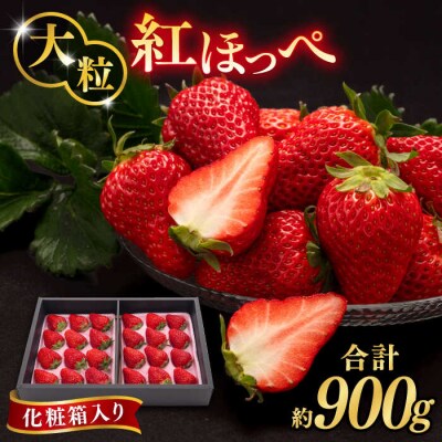 【先行受付】糸島産 紅ほっぺ 800-900g 糸島市/平山農園[AXN001]