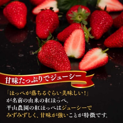 糸島産 紅ほっぺ 800-900g 糸島市/平山農園[AXN001]