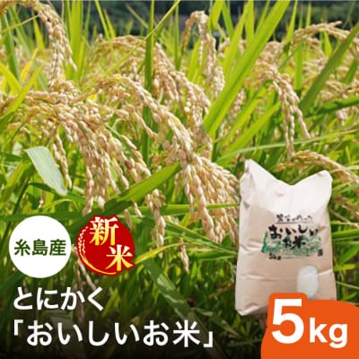 とにかくおいしいお米  5kg 糸島市 シーブ [AHC021]