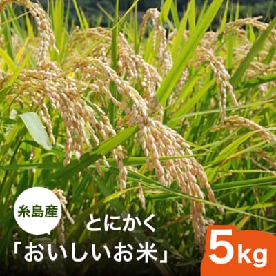 とにかくおいしいお米  5kg 糸島市 シーブ [AHC021]