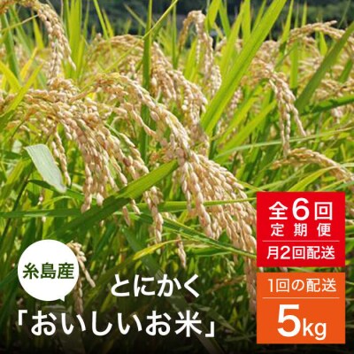 【全6回(月2回)定期便】とにかくおいしいお米 夢つくし 5kg シーブ [AHC022]