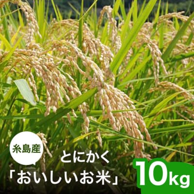【先行受付】とにかくおいしいお米 夢つくし 10kg 糸島市 シーブ [AHC023]