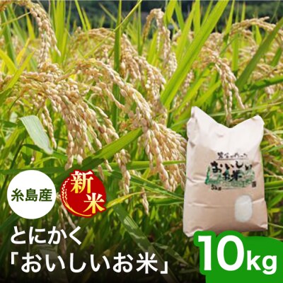 とにかくおいしいお米  10kg 糸島市 シーブ [AHC023]