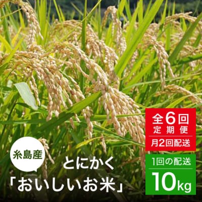 【全6回(月2回)定期便】とにかくおいしいお米 夢つくし 10kg 糸島市 シーブ [AHC024]