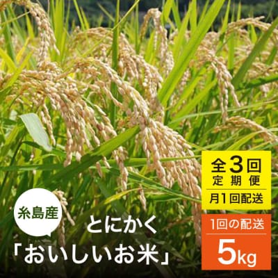 【全3回(月1)定期便】とにかくおいしいお米  5kg 糸島市 シーブ [AHC047]