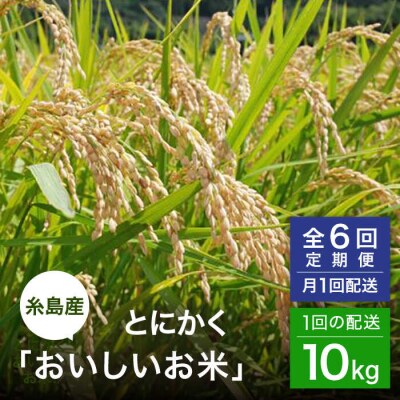 【全6回(月1)定期便】とにかくおいしいお米 夢つくし 10kg 糸島市 シーブ [AHC051]