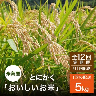 【全12回(月1回)定期便】とにかくおいしいお米 夢つくし 5kg [AHC055]