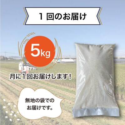 【全12回(月1回)定期便】とにかくおいしいお米 夢つくし 5kg [AHC055]