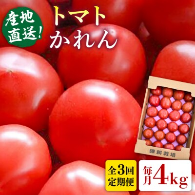 【全3回定期便】糸島産 トマト かれん (4kg28玉前後) 糸島市 シーブ [AHC066]