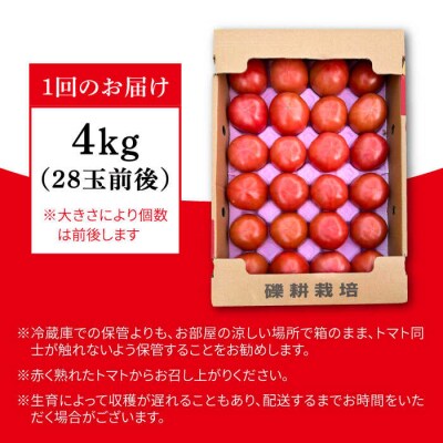 【全3回定期便】糸島産 トマト かれん (4kg28玉前後) 糸島市 シーブ [AHC066]