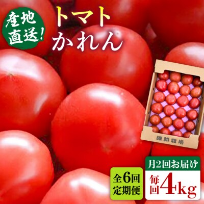 トマト 全6回定期便】糸島産 トマト かれん (4kg28玉前後) 糸島市