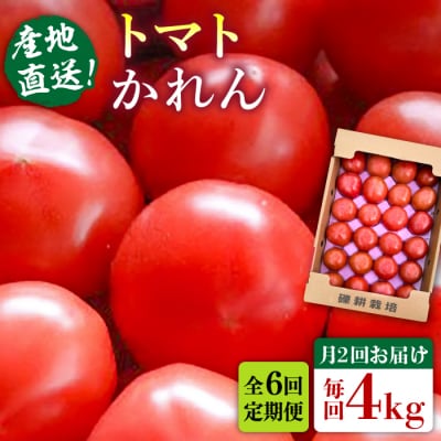 【全6回定期便】糸島産 トマト かれん (4kg28玉前後) 糸島市 シーブ [AHC067]