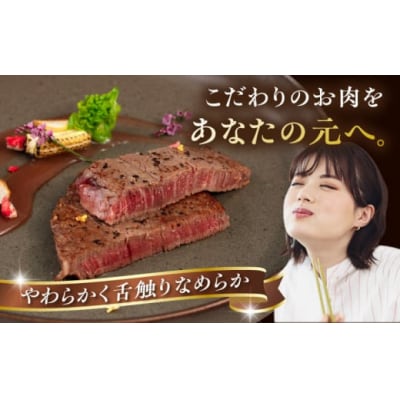 博多和牛 ヒレステーキ 600g (100g×6枚) 糸島市 / ヒサダヤフーズ[AIA043]