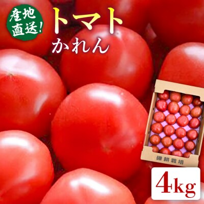 【先行受付】糸島産トマト かれん ( 4kg 28玉 前後 ) 糸島市 / シーブ [AHC019]