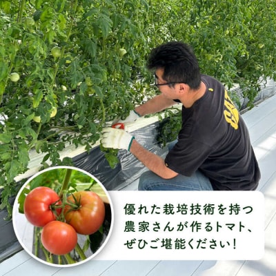 【先行受付】糸島産トマト かれん ( 4kg 28玉 前後 ) 糸島市 / シーブ [AHC019]