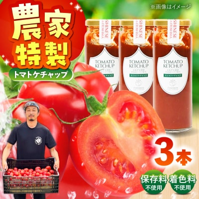 無添加トマトケチャップ 3本セット 糸島市 / かわぞえ農園 [AAM007]