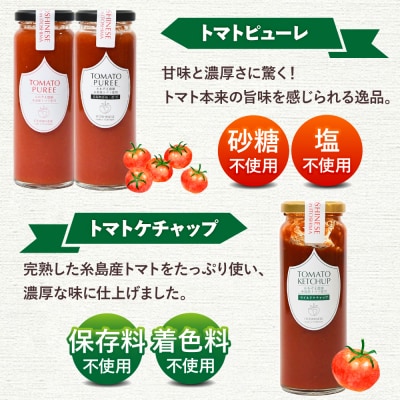 無添加トマトピューレとケチャップ 3本セット 糸島市 / かわぞえ農園 [AAM008]