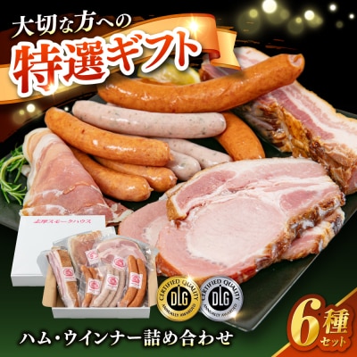 【年内発送】糸島の陽光 ハム 6種セット  糸島市/志摩スモークハウス [AOA045]