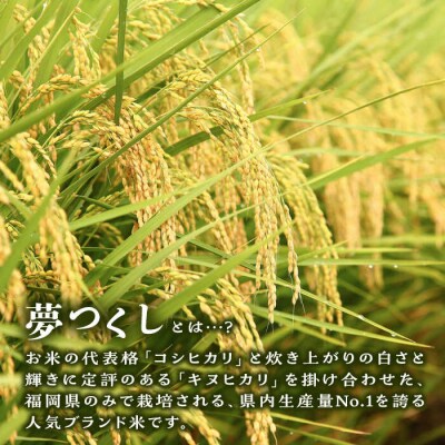 【令和7年産新米】糸島産 夢つくし 5kg 糸島市/三島商店[AIM001]