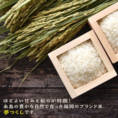 【令和7年産新米】糸島産 夢つくし 5kg 糸島市/三島商店[AIM001]