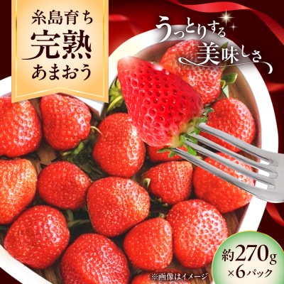 福岡県糸島市産完熟あまおういちご(約270g×6P)糸島市 mhshops [AKQ003]