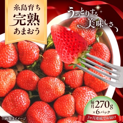 【全3回定期便】福岡県糸島市産完熟あまおういちご(約270g×6P)/mhshops[AKQ006]