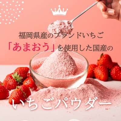 福岡県産あまおうパウダー 100g いちご 粉末 糸島市 / 株式会社フルコンス [ALO002]