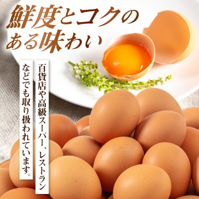 【年内発送】てつやとのりこの玉子 【 20個 】 糸島市/板垣ファーム 卵 たまご[AWD015]