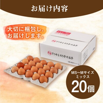 【年内発送】てつやとのりこの玉子 【 20個 】 糸島市/板垣ファーム 卵 たまご[AWD015]