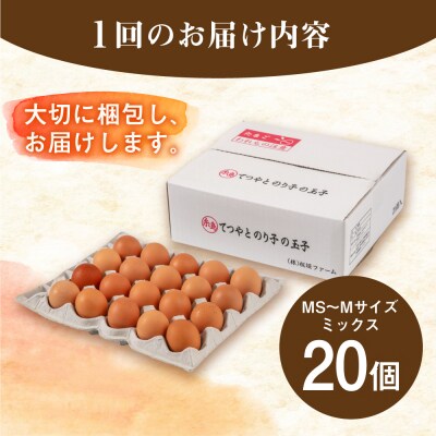 【全3回定期便】てつやとのりこの玉子 【 20個 】 糸島市 / 板垣ファーム [AWD016]