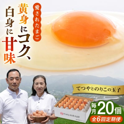 【全6回定期便】てつやとのりこの玉子 【 20個 】 糸島市 / 板垣ファーム [AWD017]