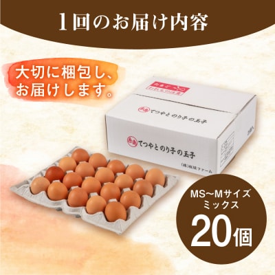 【全6回定期便】てつやとのりこの玉子 【 20個 】 糸島市 / 板垣ファーム [AWD017]