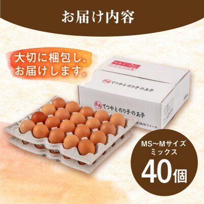 【年内発送】てつやとのりこの玉子【 40個 】糸島市/板垣ファーム 卵 たまご [AWD019]