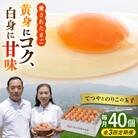 【全3回定期便】てつやとのりこの玉子 【 40個 】 糸島市 / 板垣ファーム [AWD020]