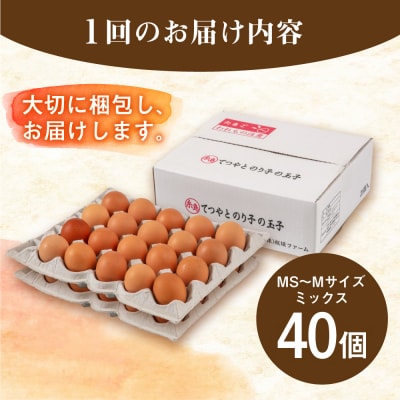 【全3回定期便】てつやとのりこの玉子 【 40個 】 糸島市 / 板垣ファーム [AWD020]