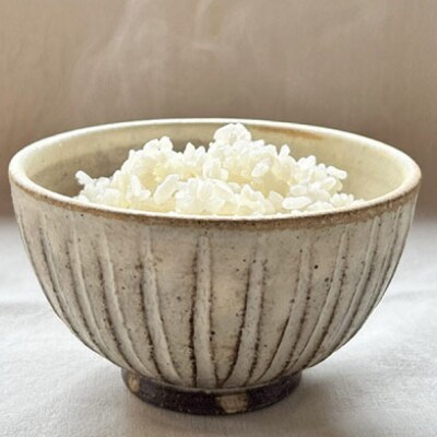 【アイボリー】しのぎ飯碗セット 糸島市 / うつわと手仕事の店 研[ARD040]