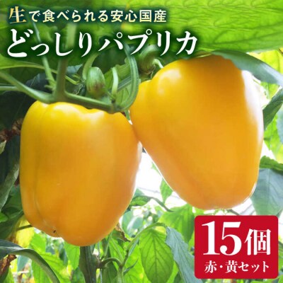 糸島産 肉厚 パプリカ 15個 福岡県 糸島市 / シーブ [AHC032]