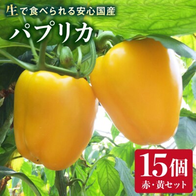 糸島産 肉厚 パプリカ 15個 福岡県 糸島市 / シーブ [AHC032]