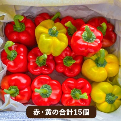 糸島産 肉厚 パプリカ 15個 福岡県 糸島市 / シーブ [AHC032]