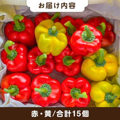 糸島産 肉厚 パプリカ 15個 福岡県 糸島市 / シーブ [AHC032]